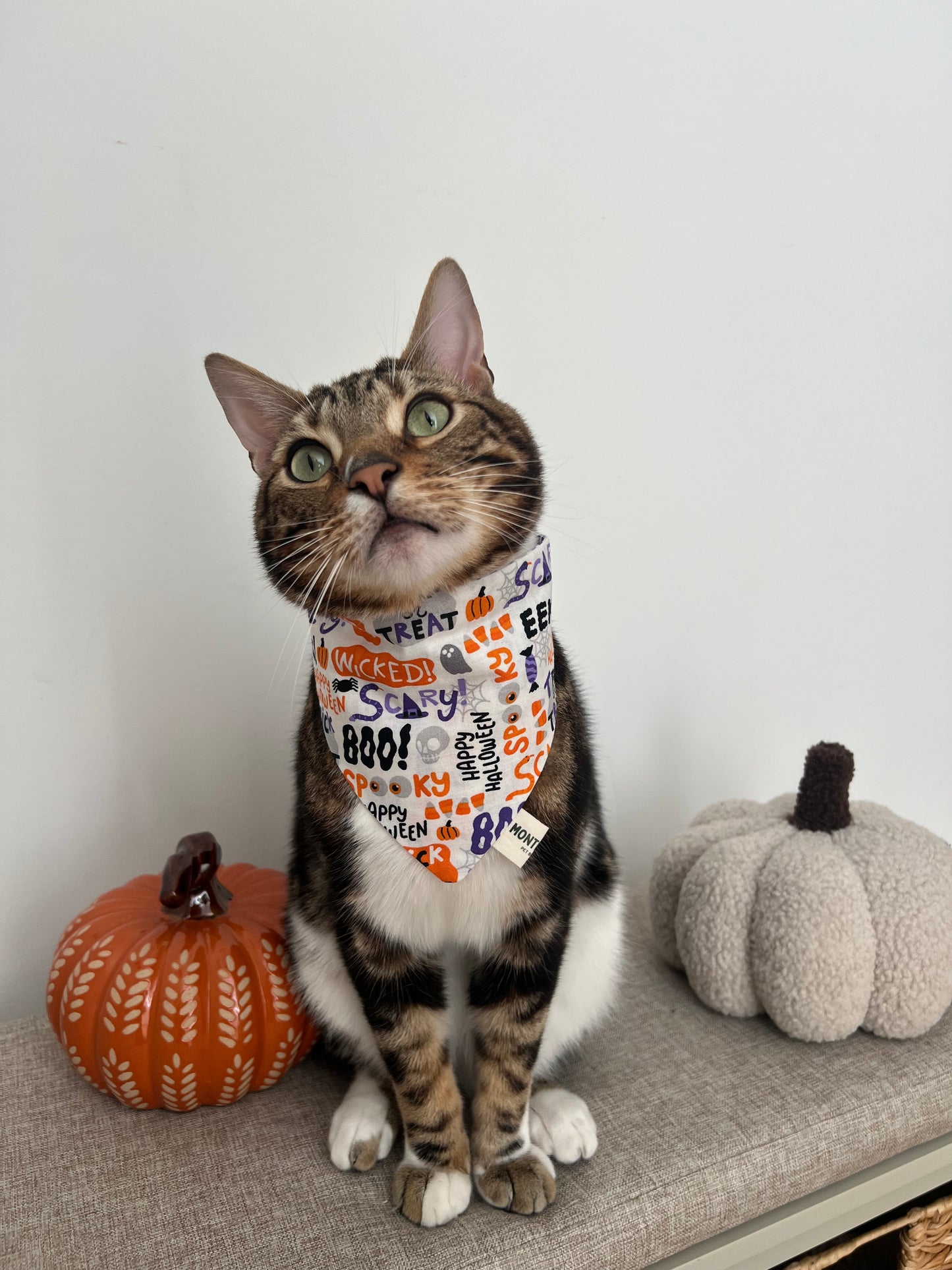 Talk Spooky To Me