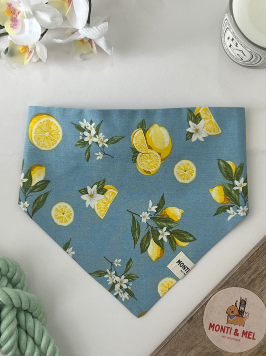Denim Limoncello