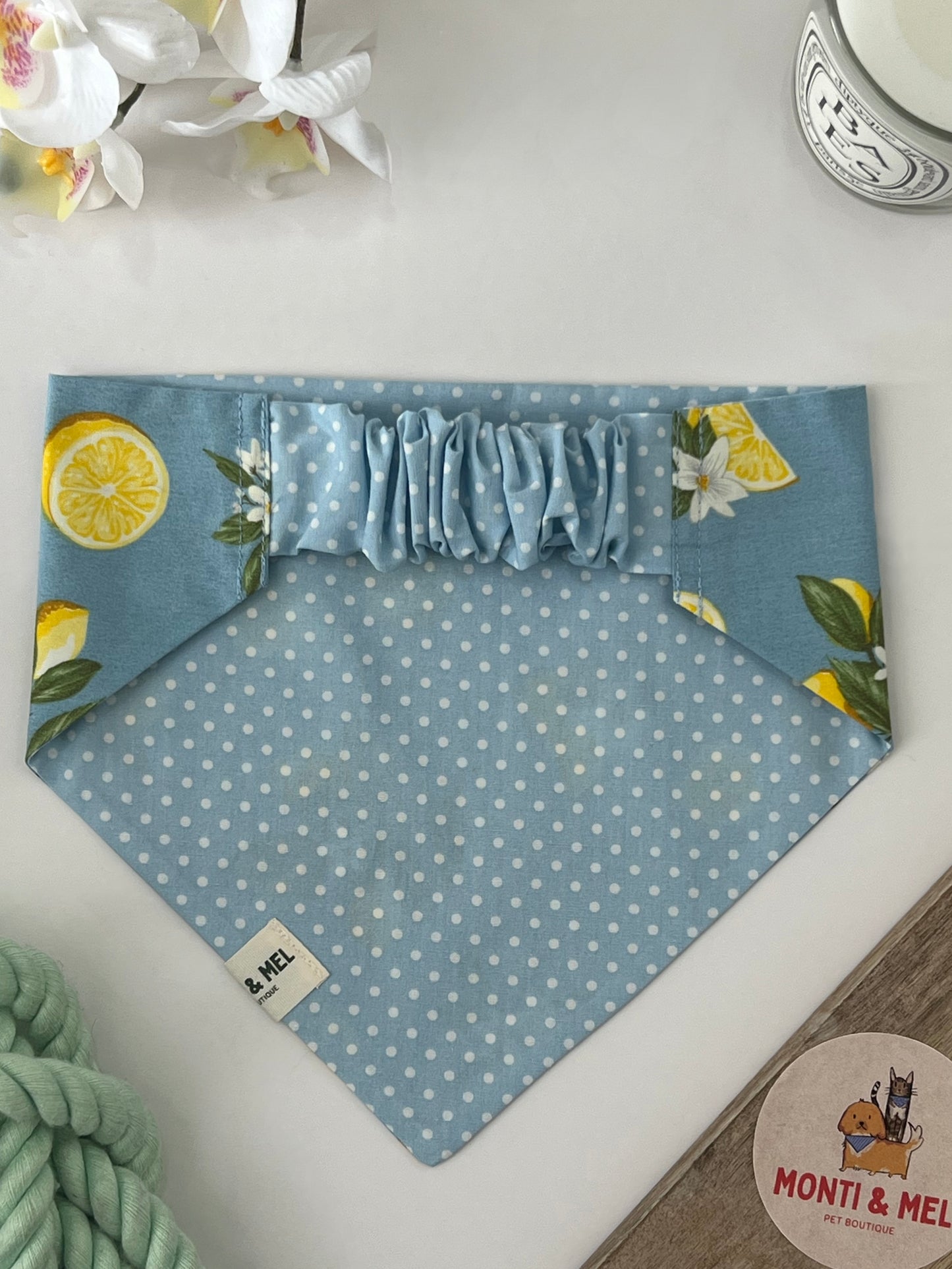 Denim Limoncello
